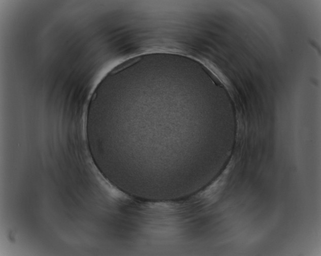 X0000091731246200709071452