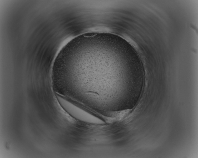 X0000091731248200709071452