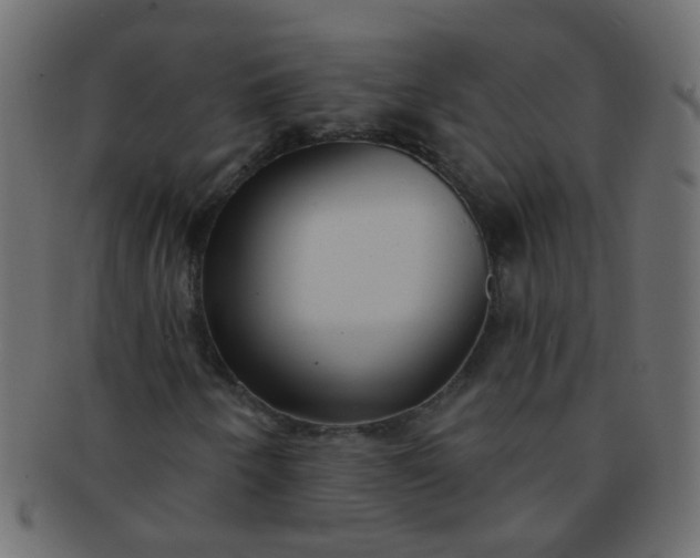 X0000091731250200709071451