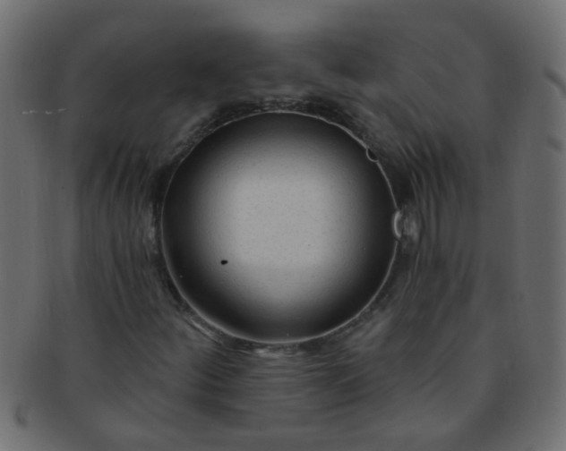 X0000091731252200709071451