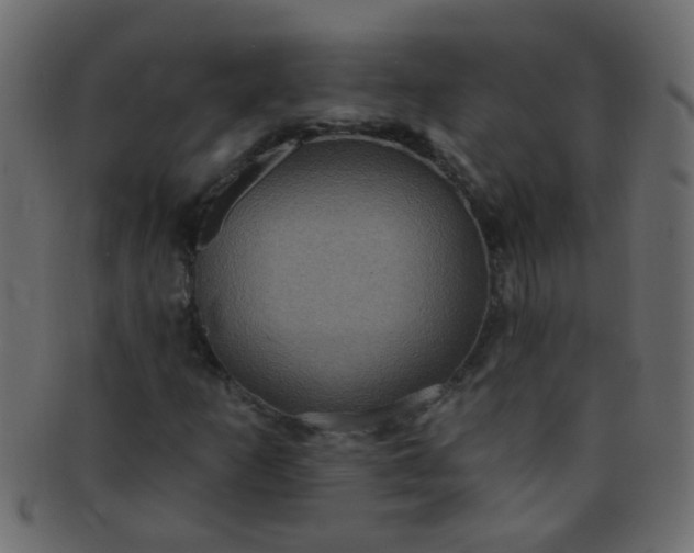 X0000091731253200709071451