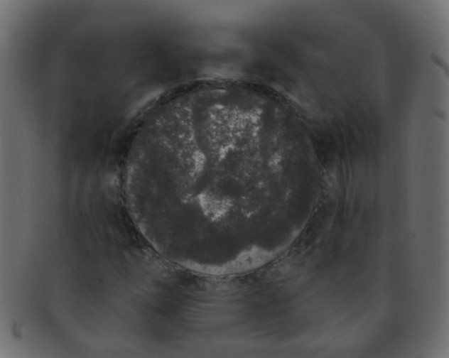 X0000091731254200709071451