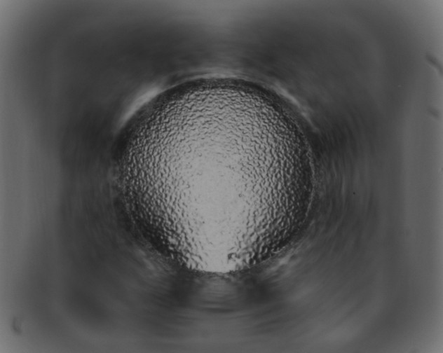 X0000091731255200709071451