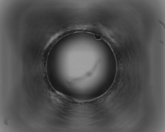 X0000091731256200709071451