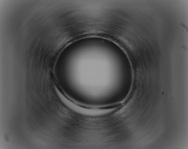 X0000091731257200709071451