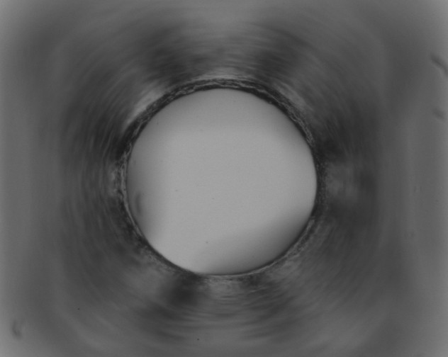 X0000091731258200709071451