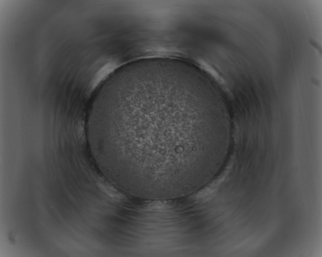 X0000091731259200709071451