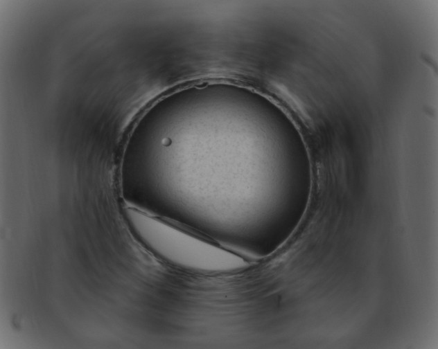 X0000091731260200709071451