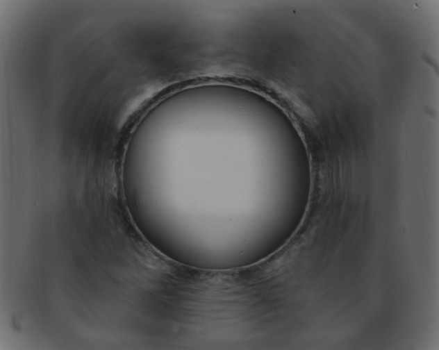 X0000091731262200709071451