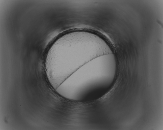 X0000091731263200709071451