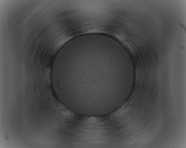 X0000091731265200709071451