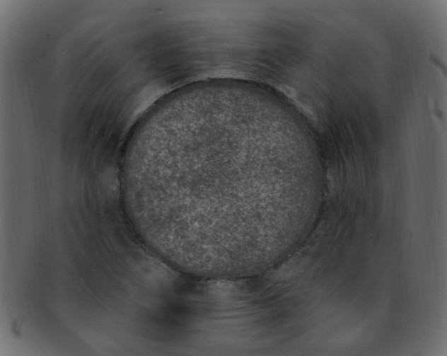 X0000091731266200709071451