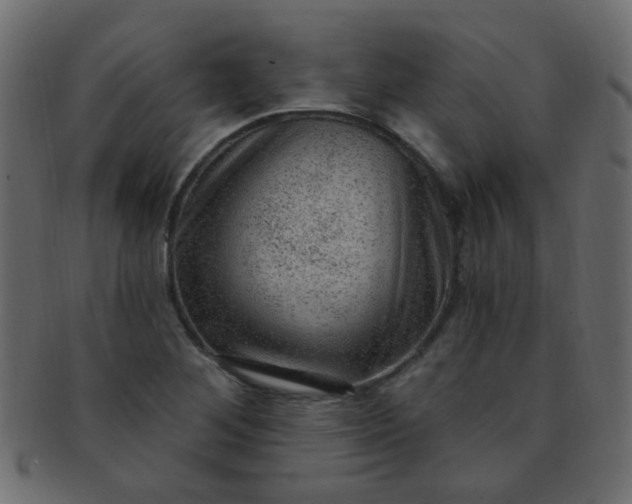 X0000091731268200709071451