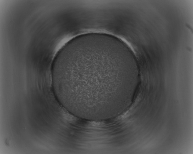 X0000091731271200709071451