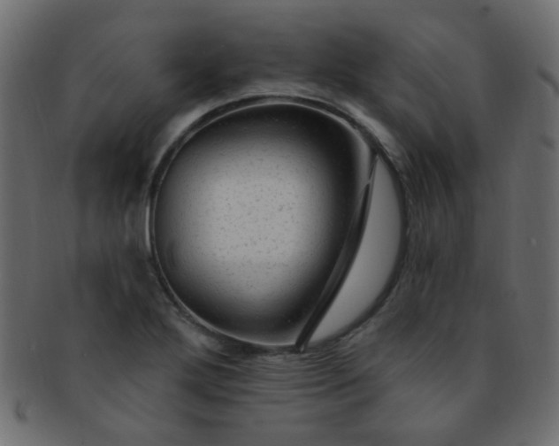 X0000091731272200709071451