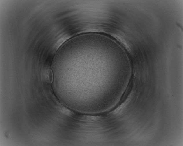 X0000091731273200709071451