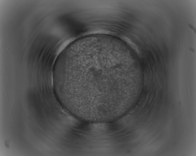 X0000091731274200709071451