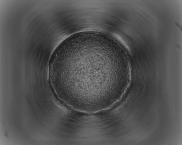 X0000091731276200709071451