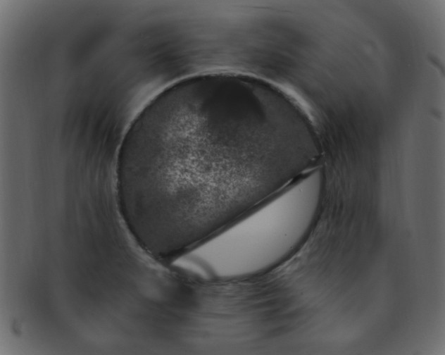 X0000091731279200709071451