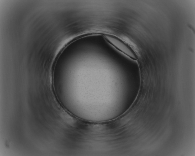 X0000091731280200709071451