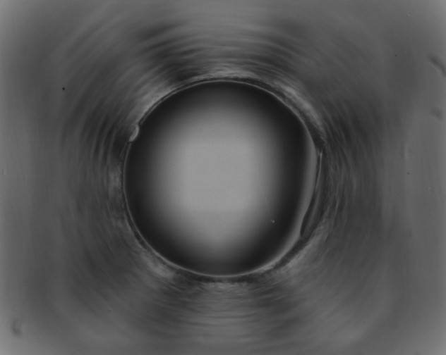 X0000091731281200709071451