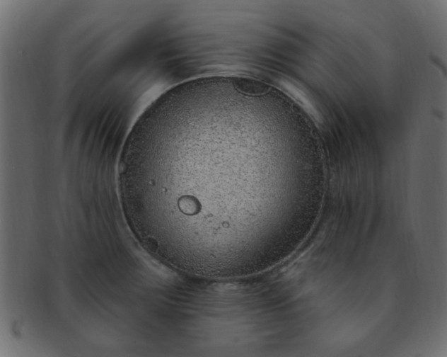 X0000091731283200709071451