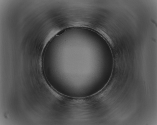 X0000091731285200709071451