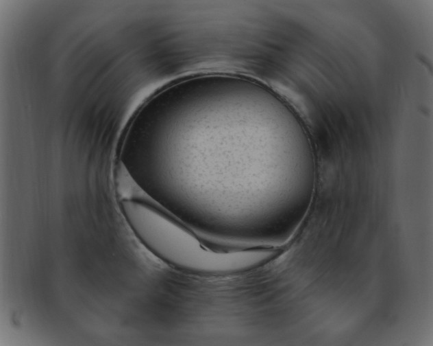 X0000091731288200709071451