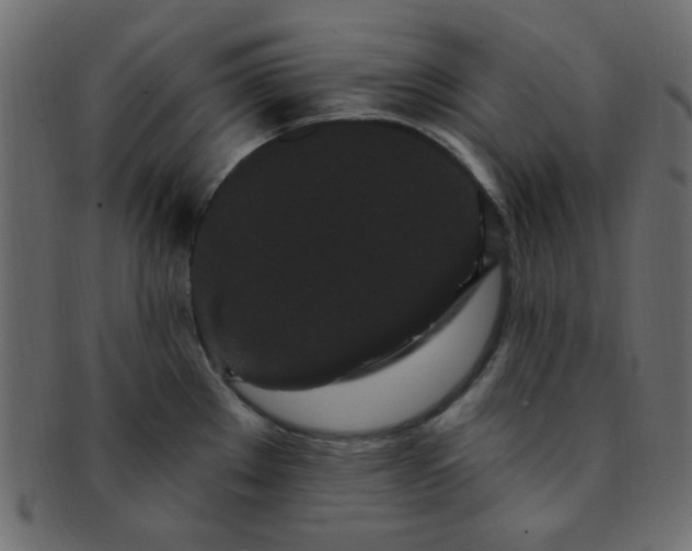 X0000091731289200709071451