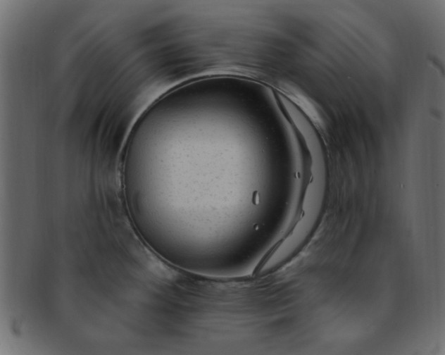 X0000091731292200709071451