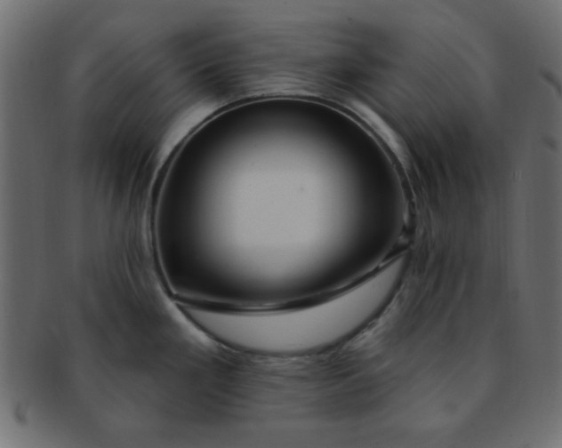 X0000091731293200709071451