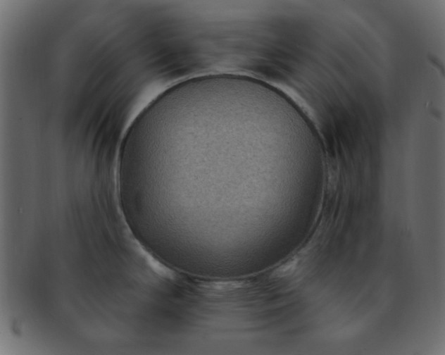 X0000091731294200709071451