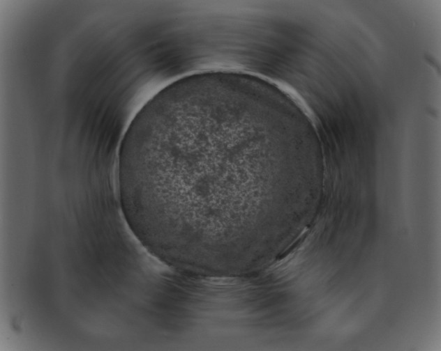 X0000091731295200709071451