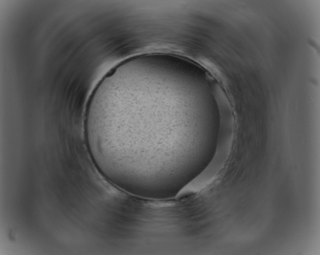 X0000091731296200709071451