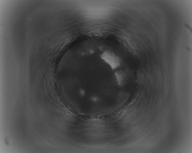 X0000091731297200709071450