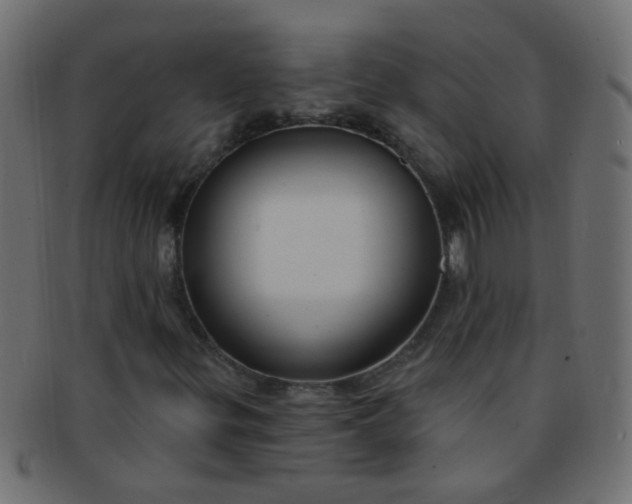 X0000091731299200709071450