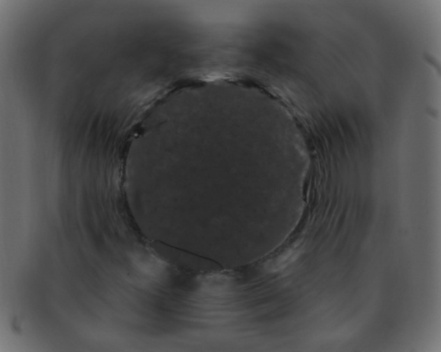 X0000091731300200709071450