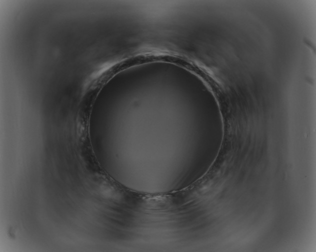 X0000091731303200709071450