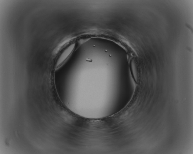 X0000091731304200709071450