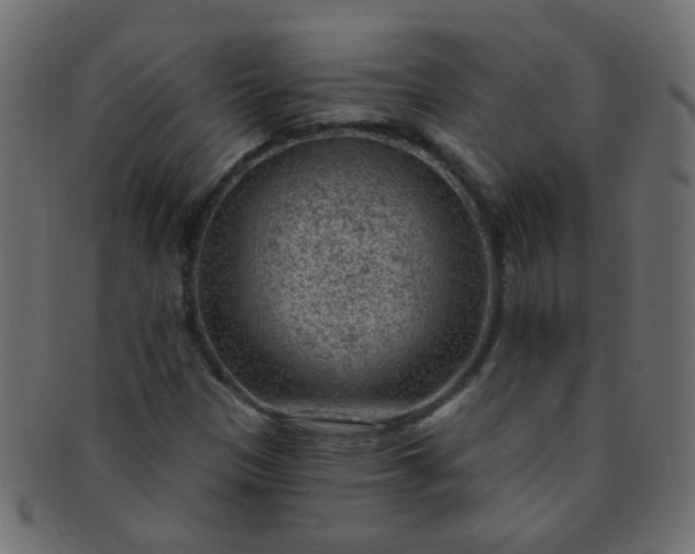 X0000091731305200709071450