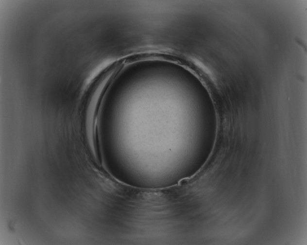 X0000091731310200709071450