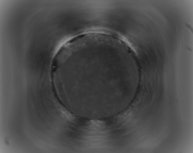 X0000091731312200709071450