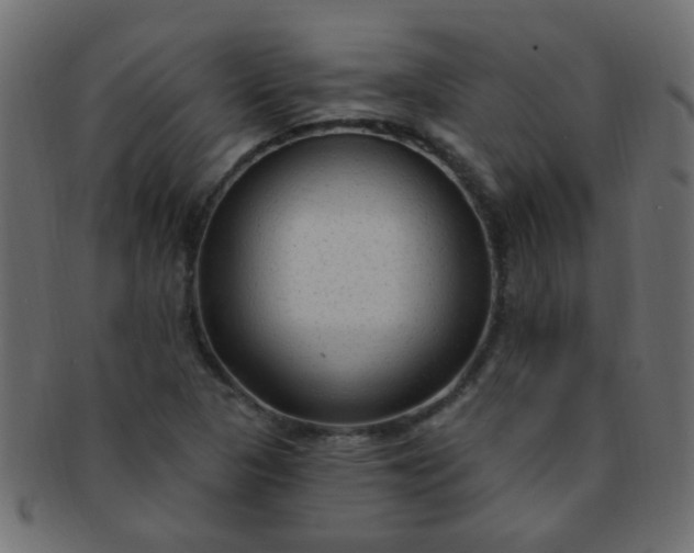 X0000091731313200709071450