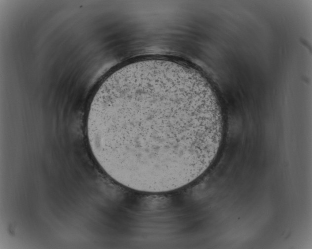 X0000091731314200709071450