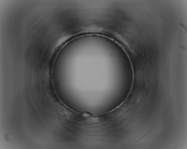 X0000091731315200709071450