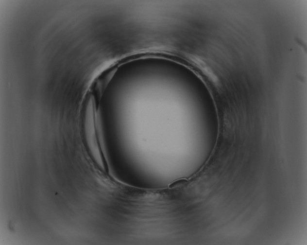 X0000091731316200709071450