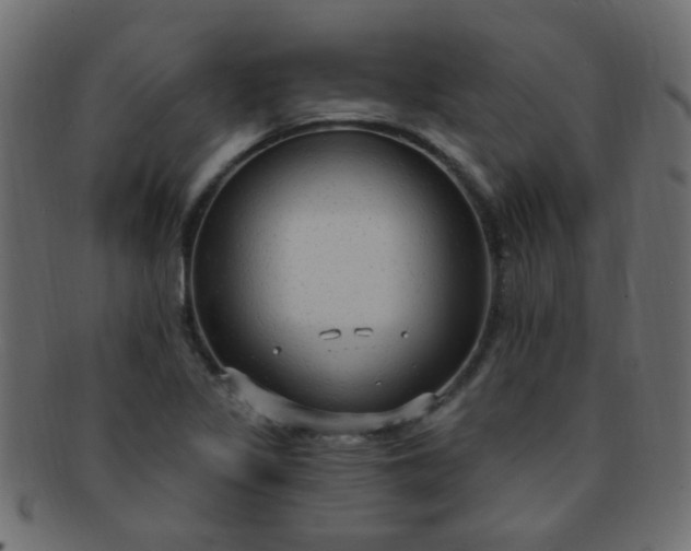 X0000091731317200709071450