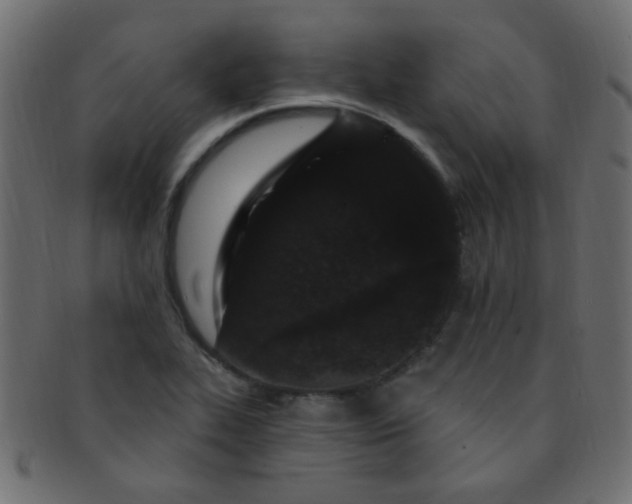 X0000091731319200709071450