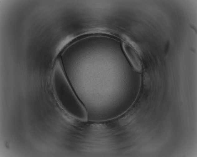 X0000091731320200709071450