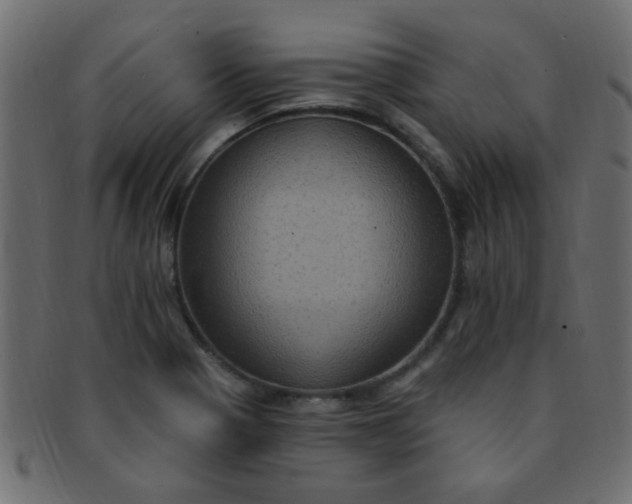 X0000091731321200709071450